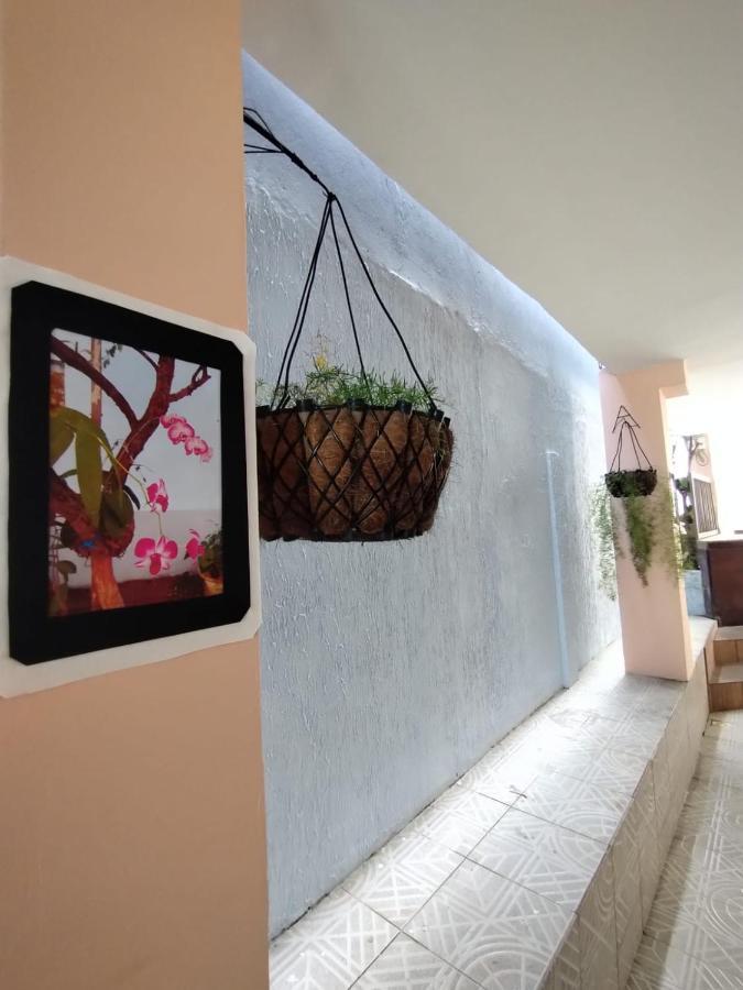 Hostel Salvador Orquideas Extérieur photo
